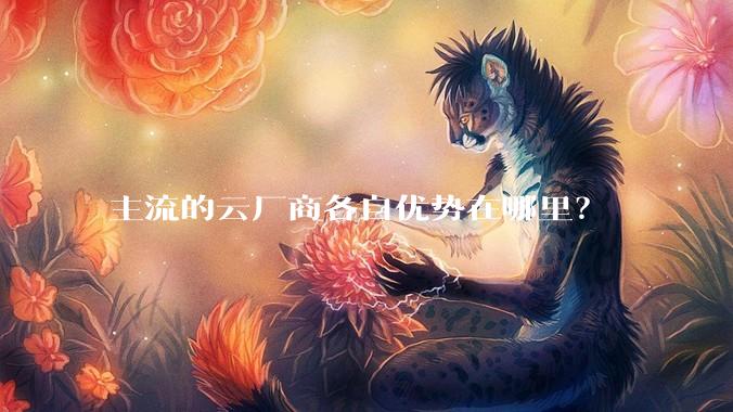 主流的云厂商各自优势在哪里？