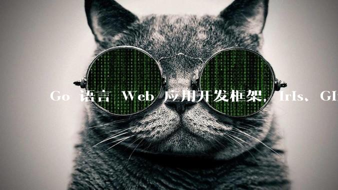 Go 语言 Web 应用开发框架，Iris、Gin、Echo，哪一个更适合大型项目？