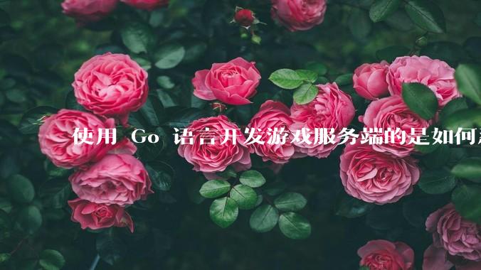 使用 Go 语言开发游戏服务端的是如何忍受无法热更新的？