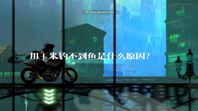 用玉米钓不到鱼是什么原因？