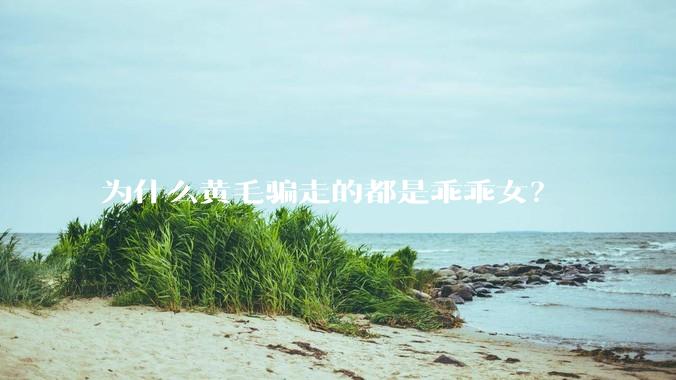 为什么黄毛骗走的都是乖乖女？