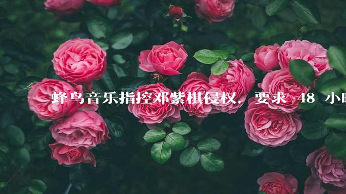 蜂鸟音乐指控邓紫棋侵权，要求 48 小时内下架重录歌曲，邓紫棋回应「不会下架」，这一指控合理吗？