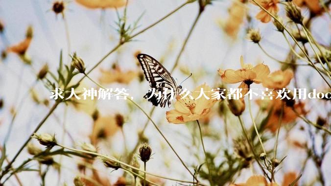 求大神解答，为什么大家都不喜欢用docker？