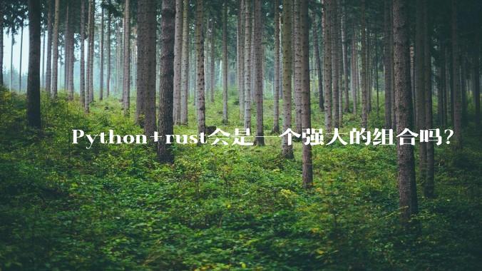Python+rust会是一个强大的组合吗？