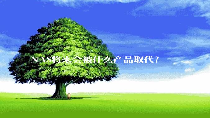NAS将来会被什么产品取代？