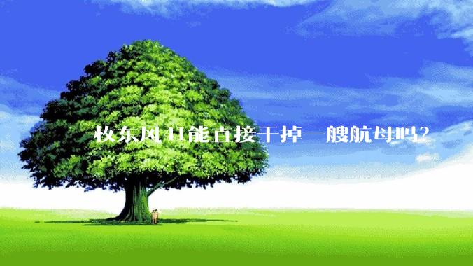 一枚东风41能直接干掉一艘航母吗？