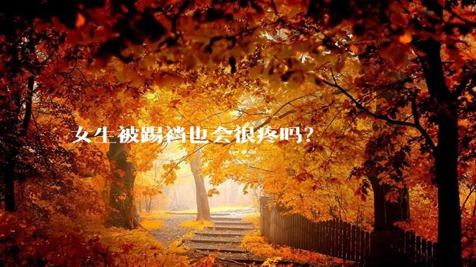 女生被踢裆也会很疼吗？