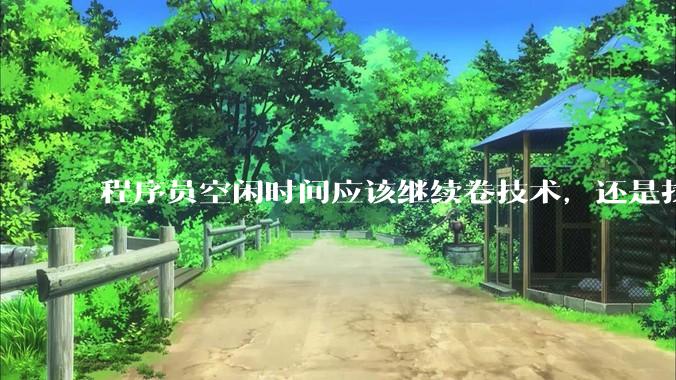 程序员空闲时间应该继续卷技术，还是找其他副业？