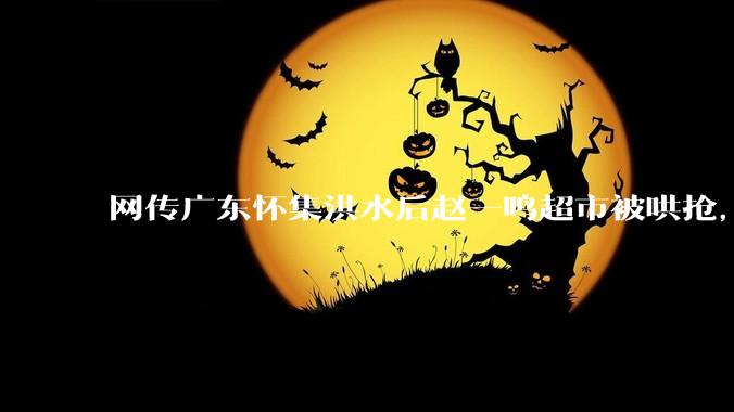 网传广东怀集洪水后赵一鸣超市被哄抢，县***回应相关单位正在核实，若属实哄抢者该承担哪些法律责任？